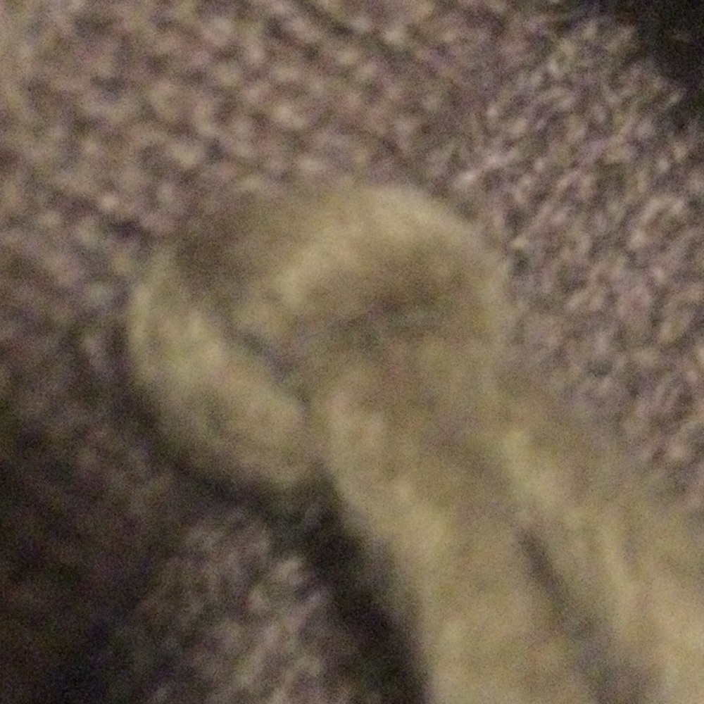 Subtle Luxury CASHMERE SHAWL VEST  
$237 - Picture 15 of 15